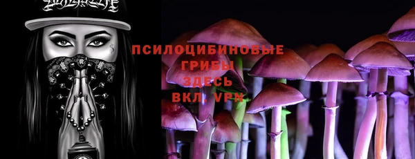 мяу мяу мука Баксан