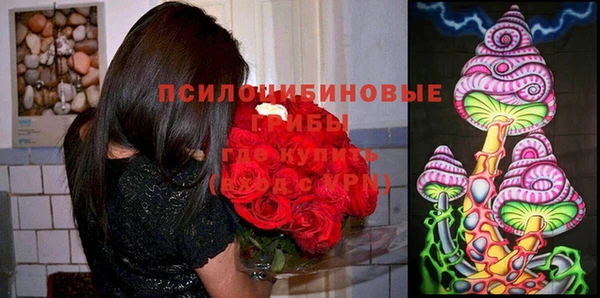 мескалин Покров