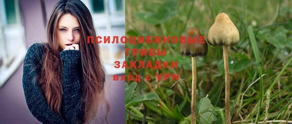 первитин Балахна